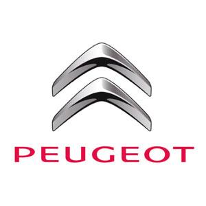 Logo12